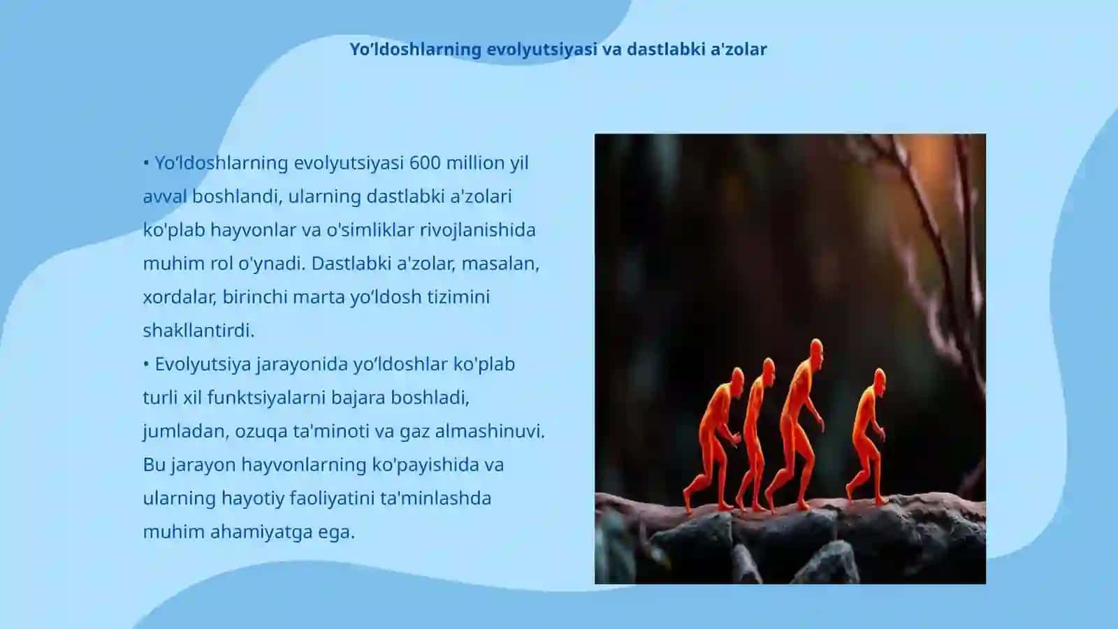 Yoʻldosh rivojlanishida dastlabki a'zolarning roʻli 3