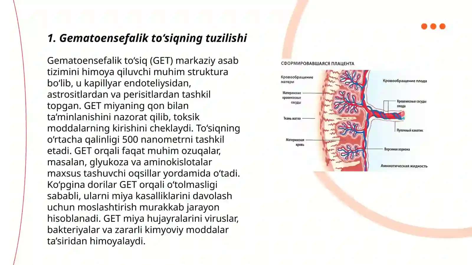 Gematoensefalik baryer gistofiziologiyasi 3