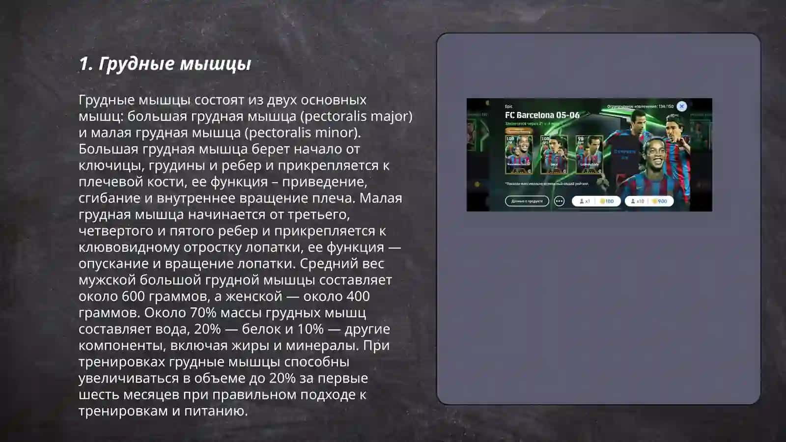 Грудные мышцы 3