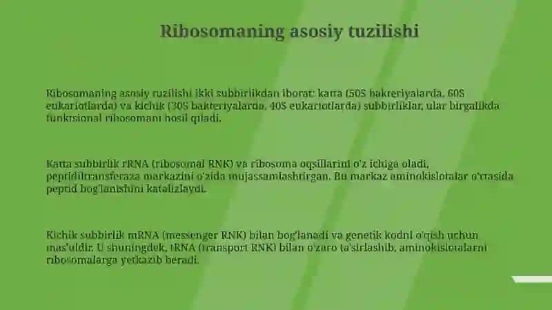 Ribosomaning tuzilishi 3
