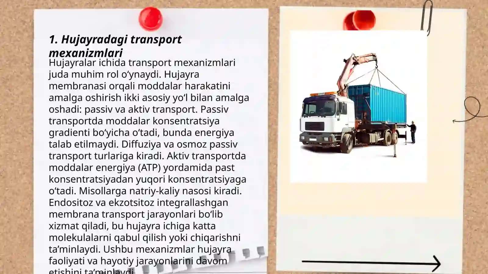 Hujayradagi transport jarayonlari 3