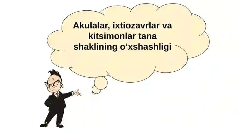 Organik olam evolutsiyasinig asosiy yo‘nalishlari 3
