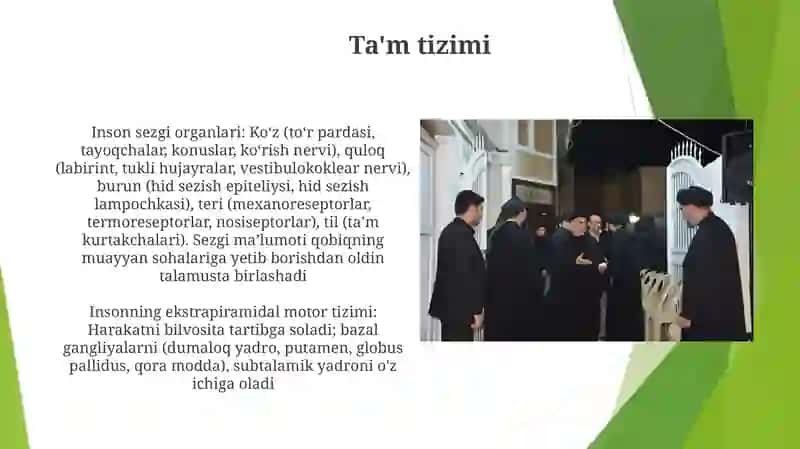 Inson sezgi organlari 3