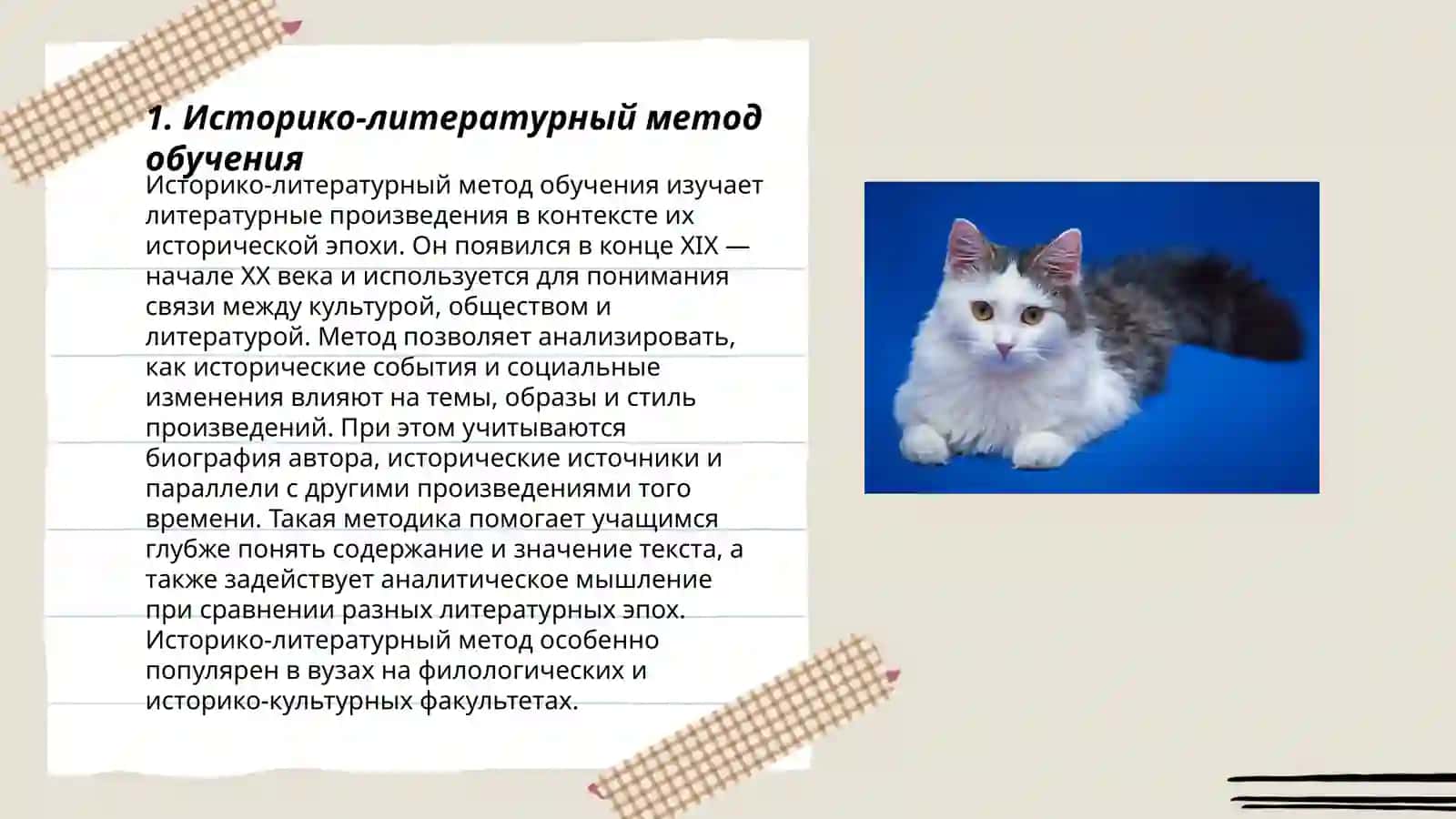 Историко-литературный метод обучения 3