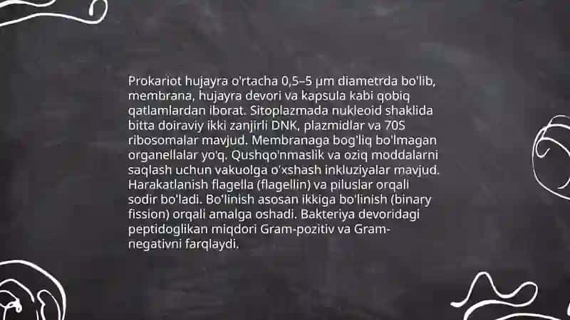 Prokariot hujayraning tuzilishi 3