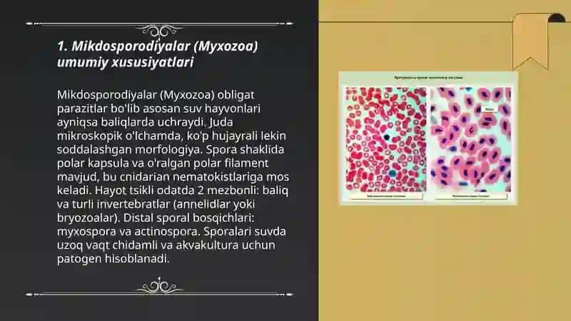 Mikdosporodiylar - Myxozoa tipi 3