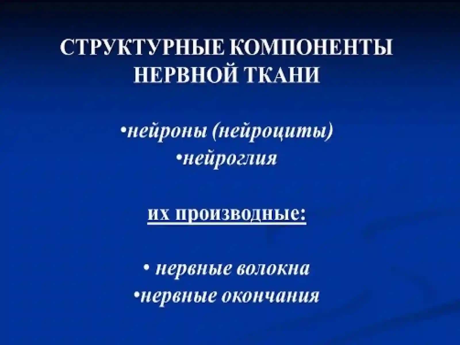 Нервная ткань 3