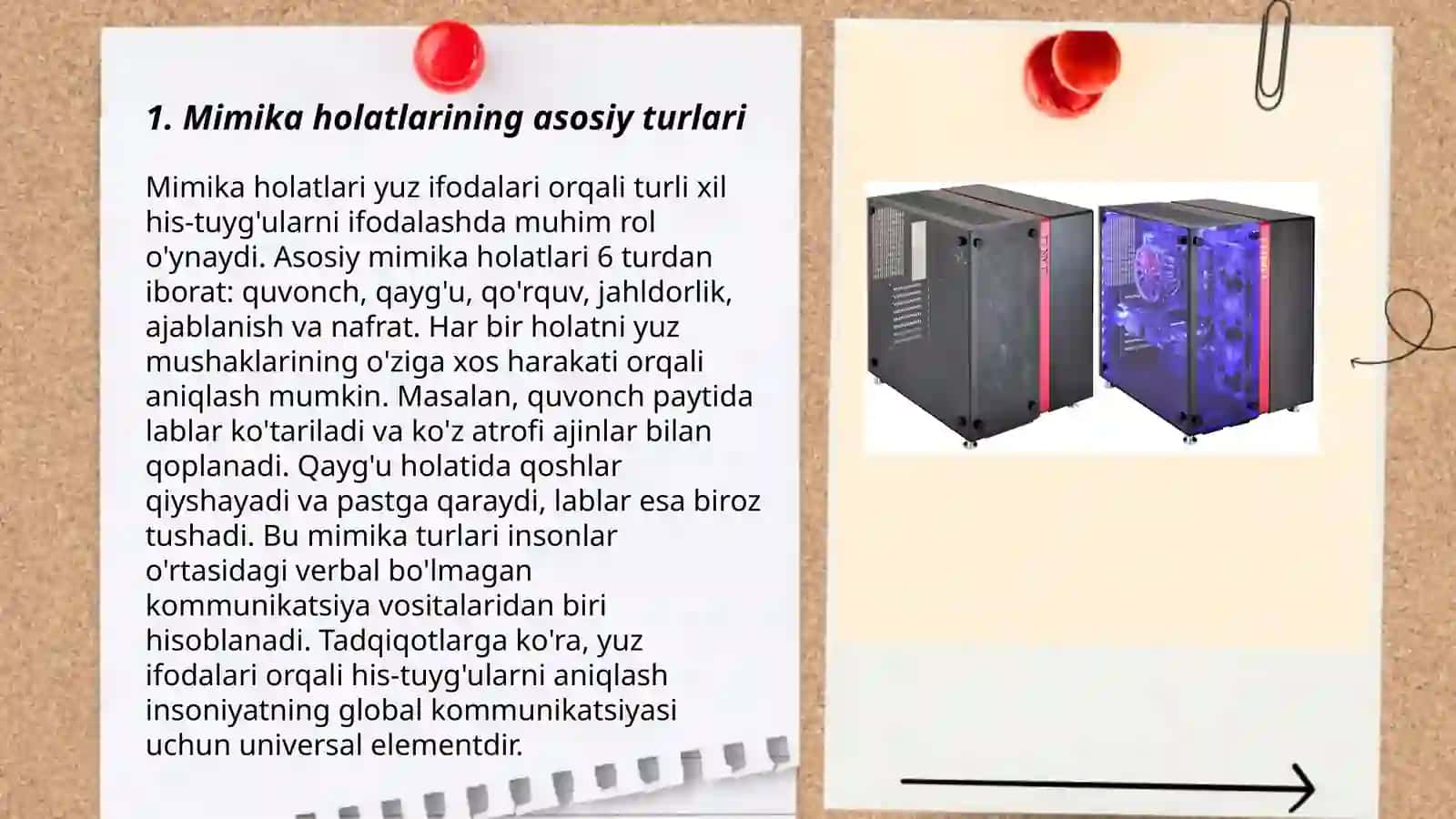 Mimika holatlari 3