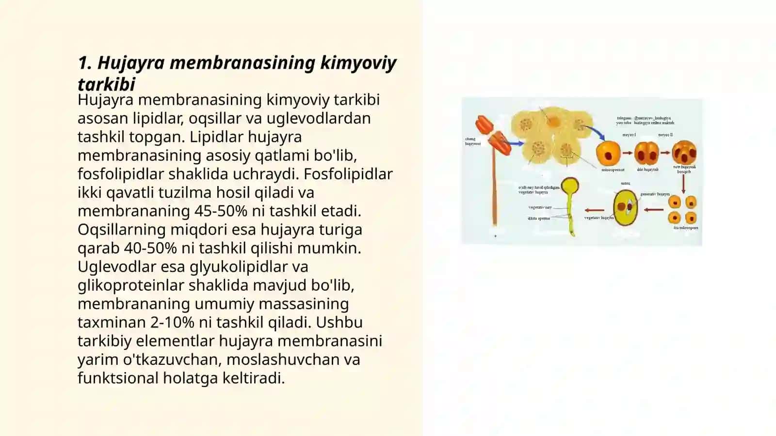 Hujayraning kimyoviy tarkibi 3