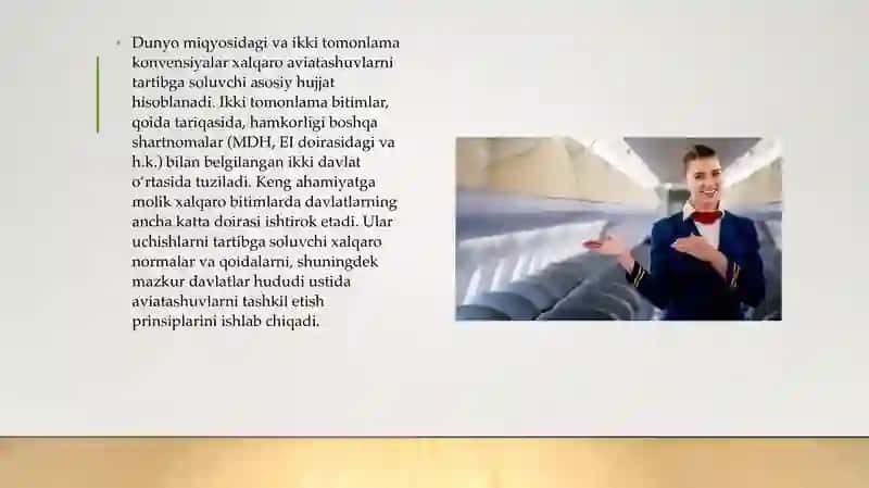 TURISTLARGA HAVO TRANSPORTIDA XIZMAT KO‘RSATISH 3
