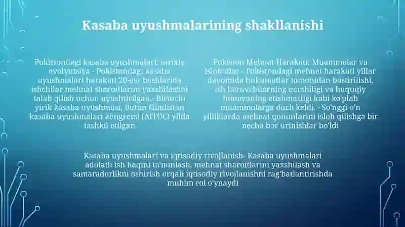 Mehnatni Tashkil Qilishda Pokiston Tajribasi 3