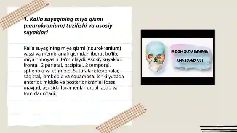 Kalla suyagi kalla suyagini miyya 3