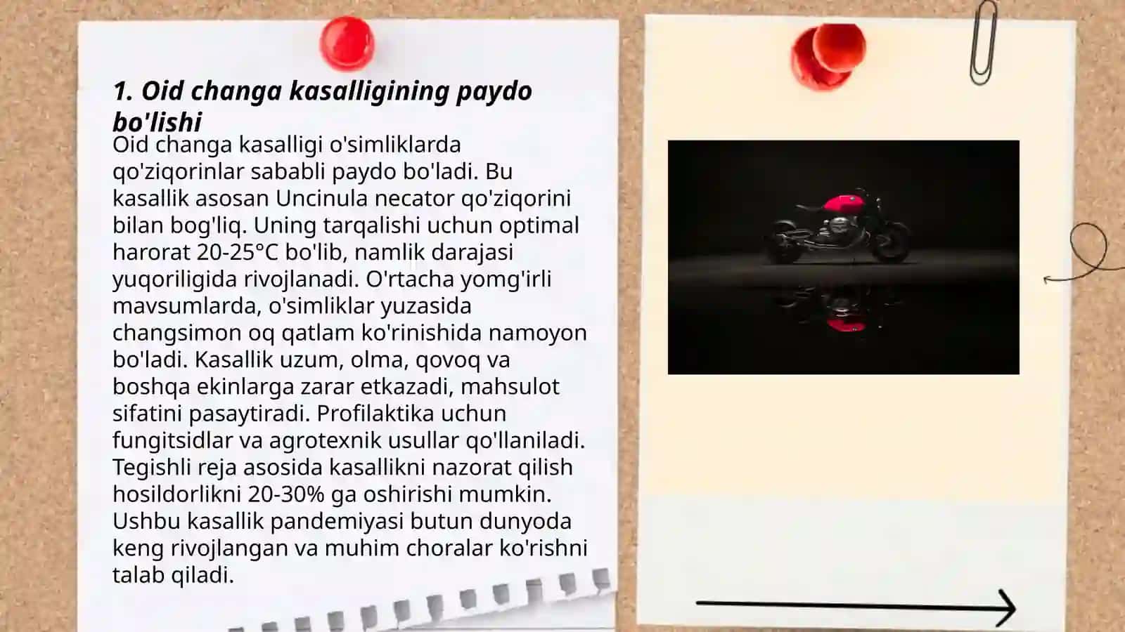 Changa oid patalogiyalar haqida tushuncha 3