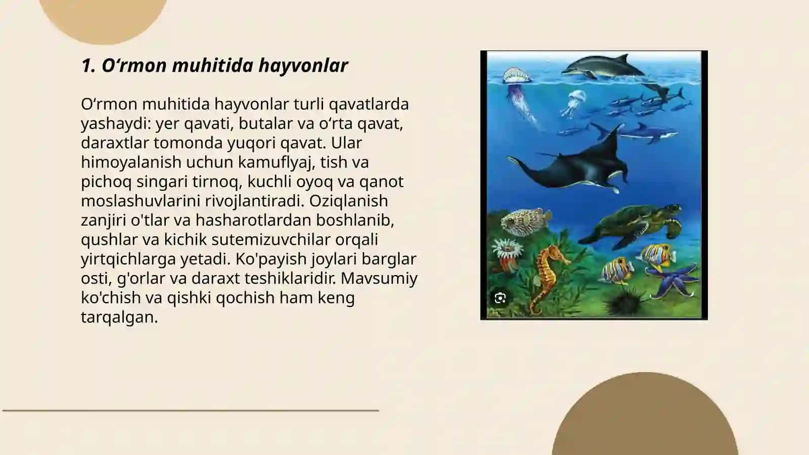 Hayvonlarning yashash muhiti 3