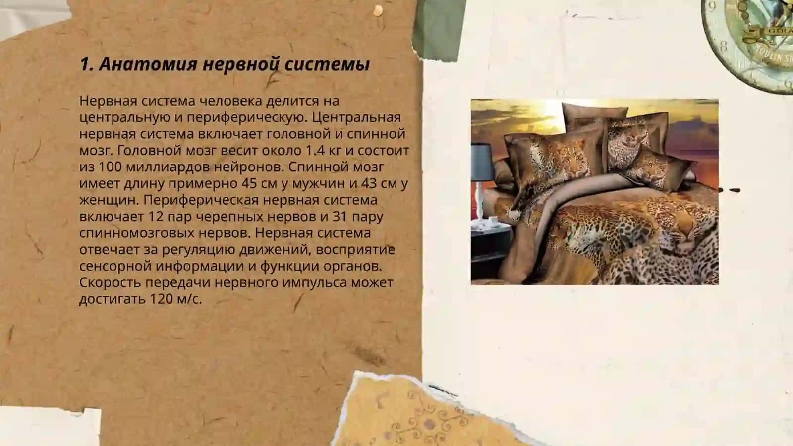 Нервная система 3