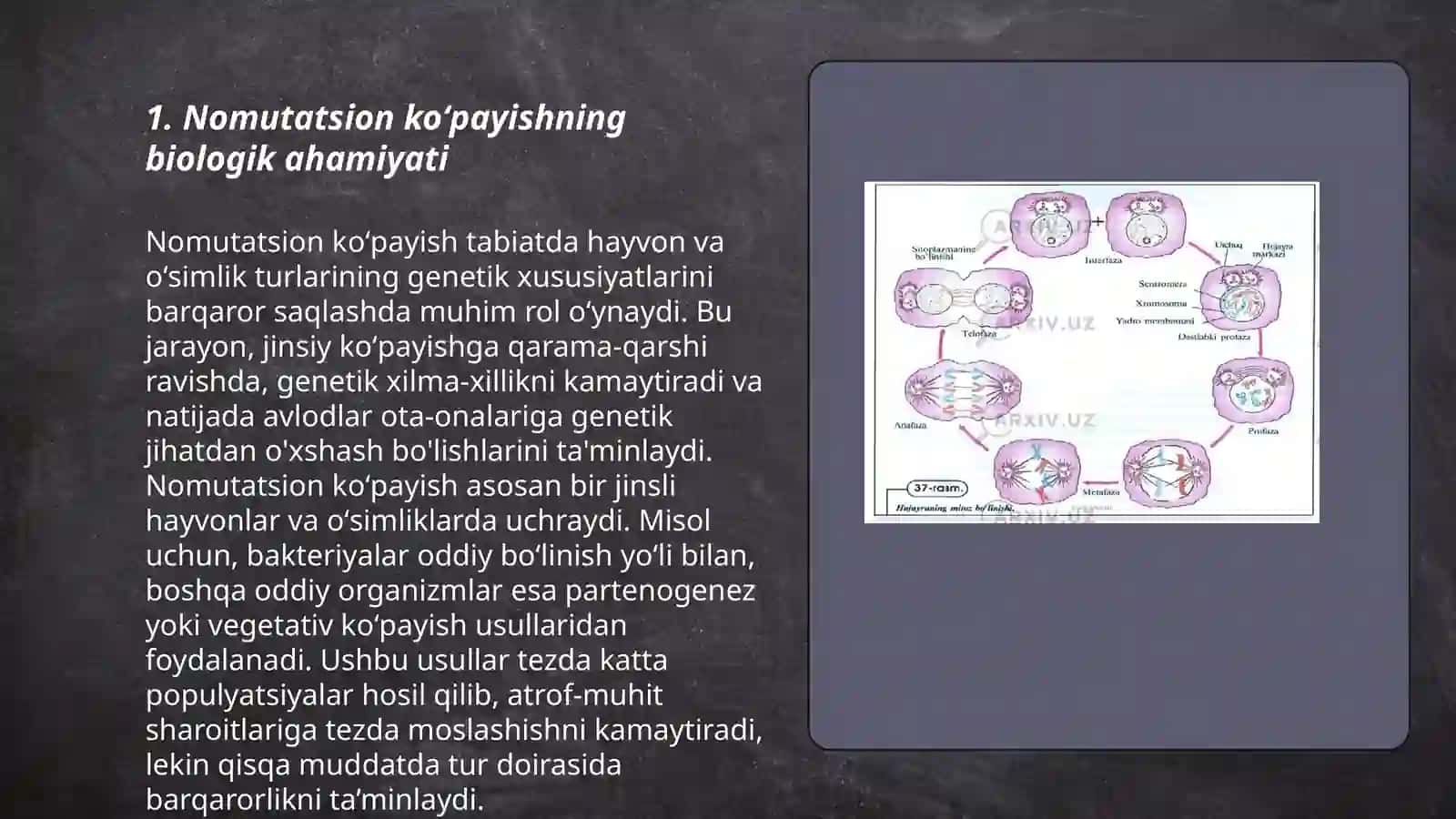 Nomutatsion koʻpayish xillari 3