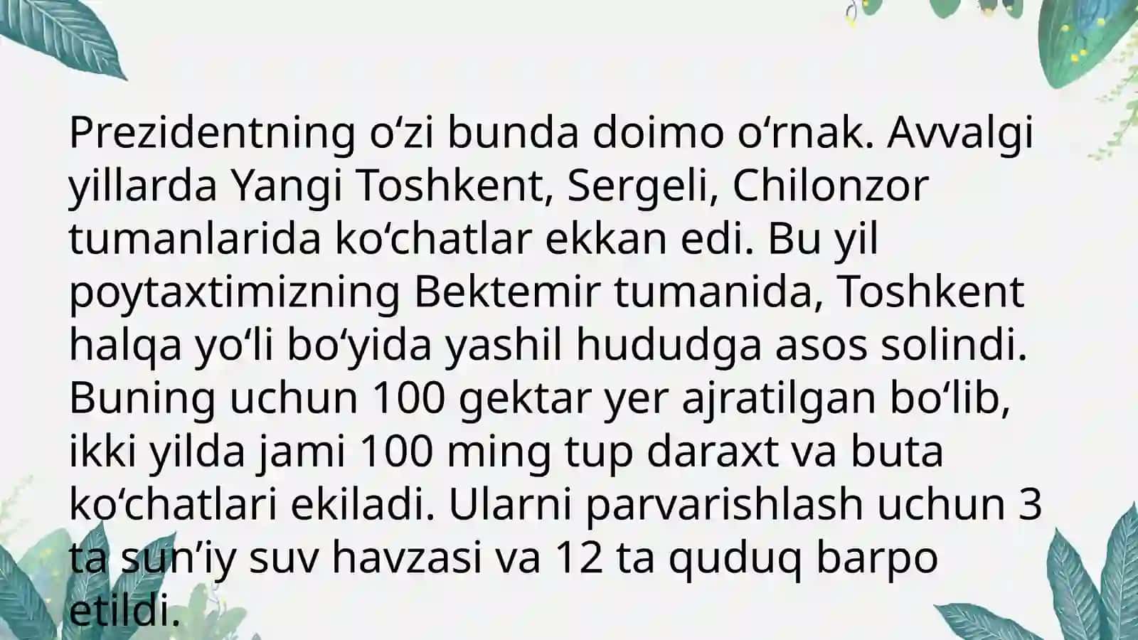YASHIL MAKON”  UMUMMILLIY  LOYIHASI 3