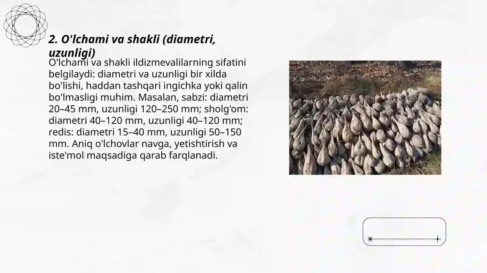 Qand lavlagi qirindisidan diffuzion sharbat olish 3