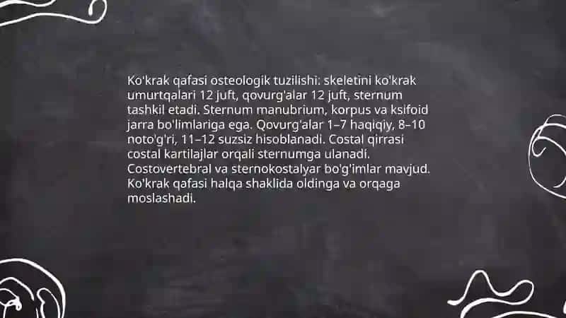 Kokrak qafasining anatomik tuzilishi 3