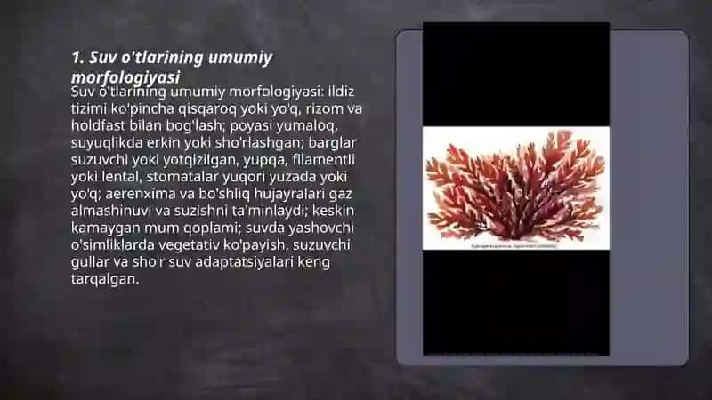 Suv o'tlarining umumiy morfologiyasi 3
