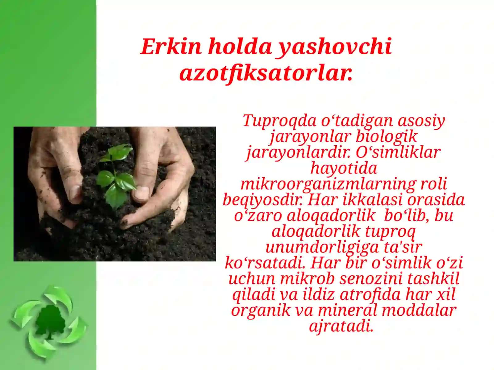 Tuproq biotexnologiyasi va uning vazifalari 3