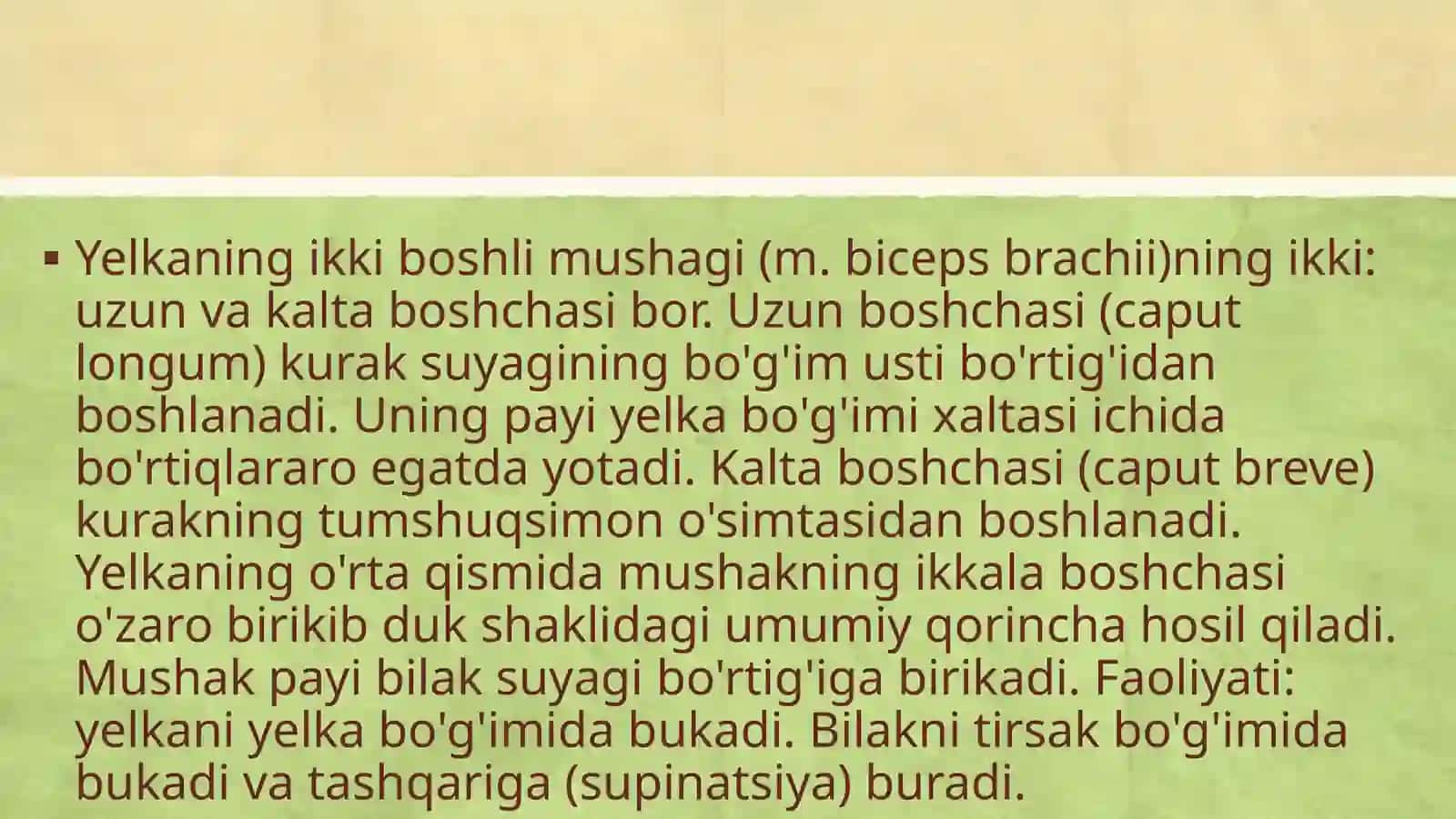 Yelka kamarlari va yelka mushaklari 3