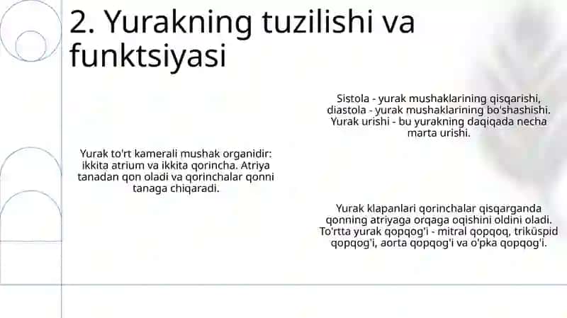 Qon Aylanish Sistemasining Biofizikasi 3