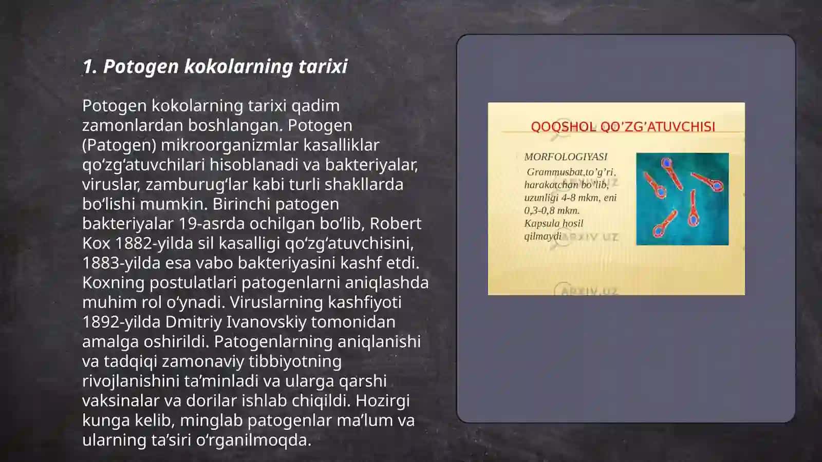 Potogen kokolar 3