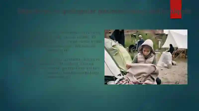 Migratsiya va qochoqlar muammosi 3