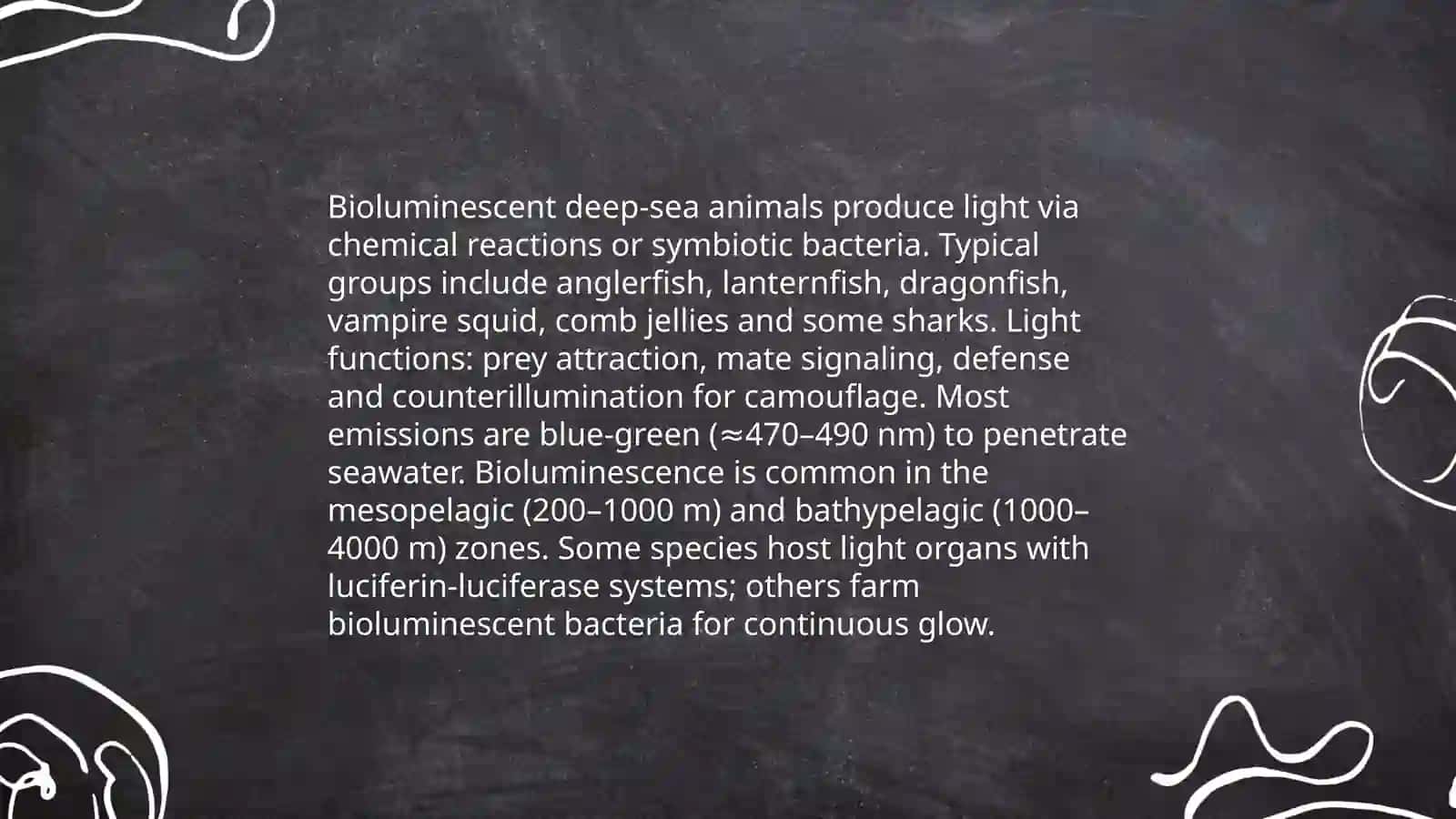 Bioluminescent deep-sea animals 3