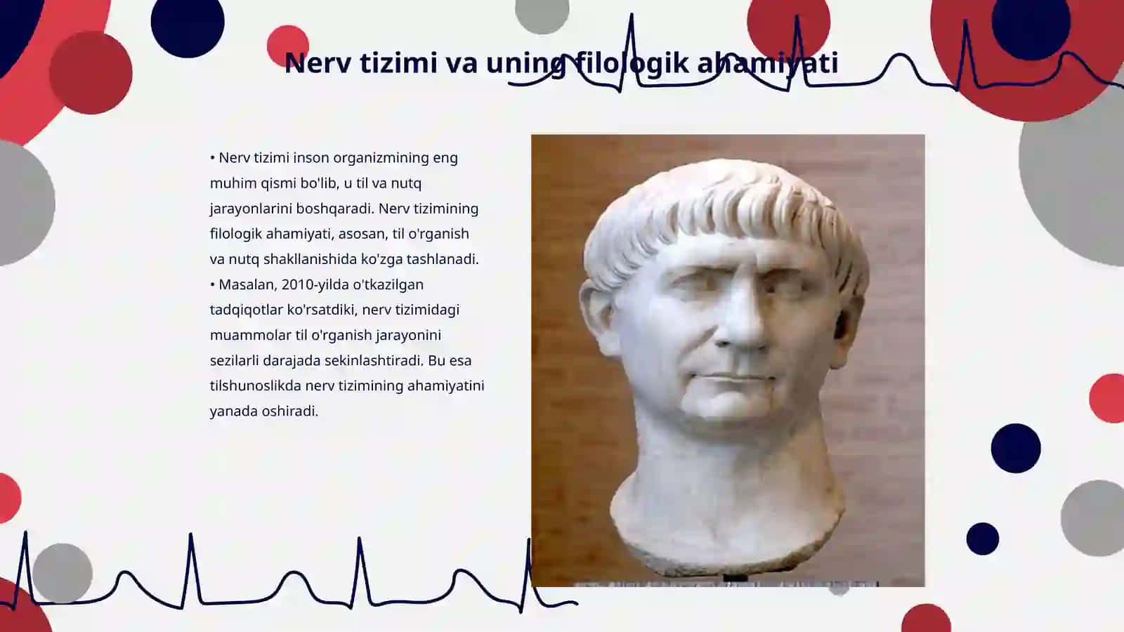 Nerv sistemasining filologik xususiyatlari 3
