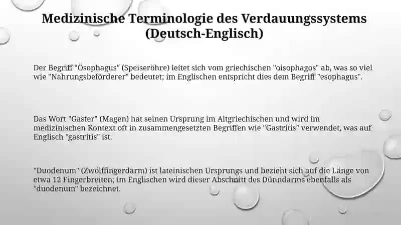 Fremdsprache in der Medizin 3
