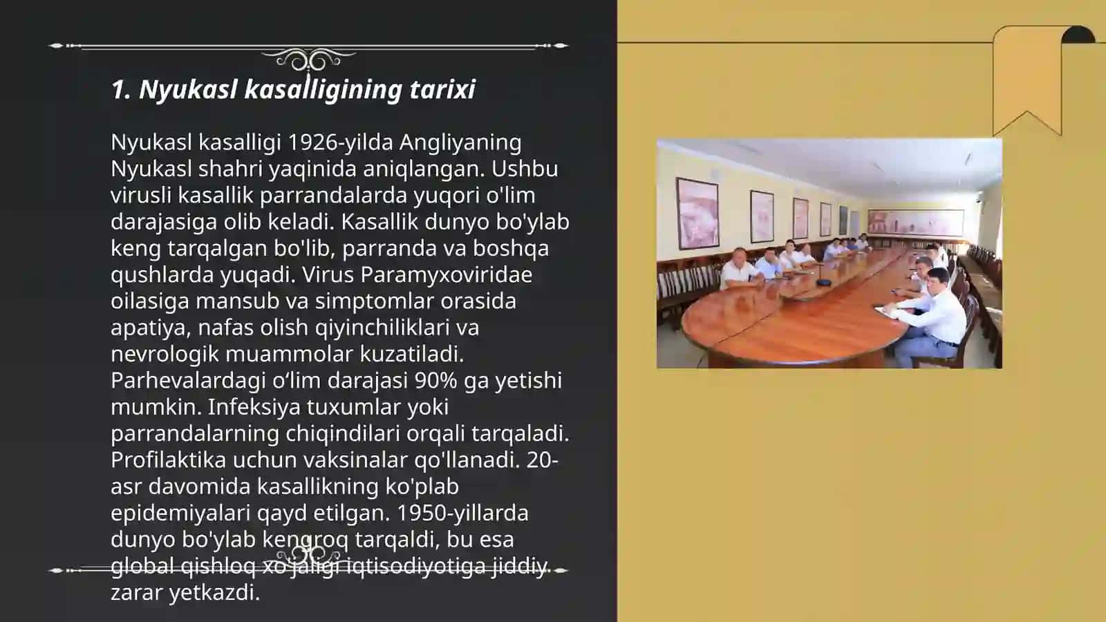 parrandalar nyukasl kassalligi 3