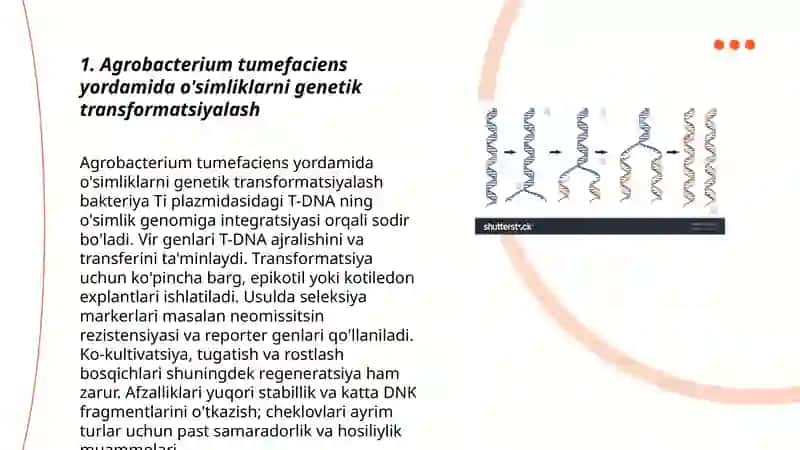 O’simliklar genetik transformatsiyalash usullari 3