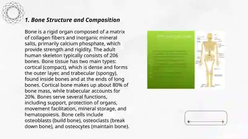 Skeletal System 3