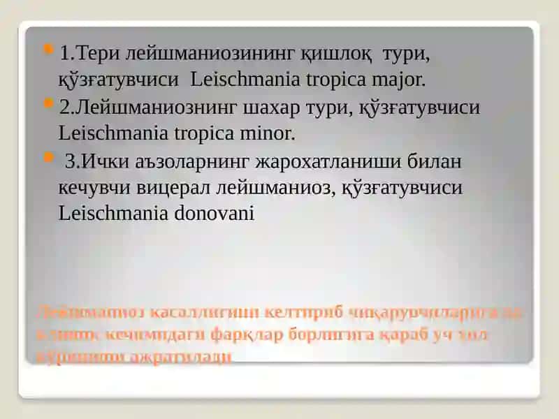Лейшманиоз 3