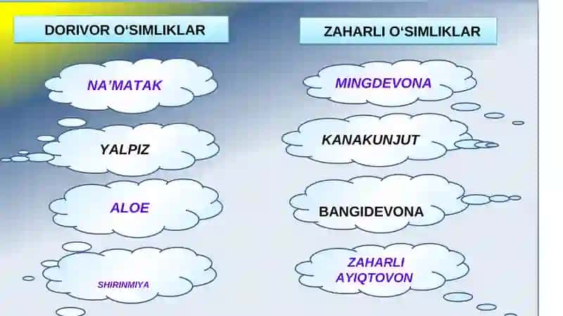 BIOLOGIYA 5-sinf MUSTAHKAMLASH 3