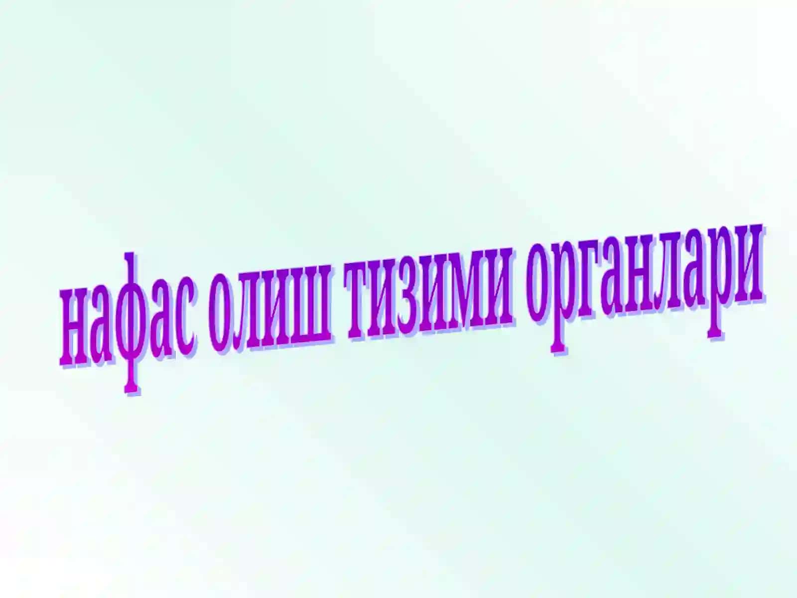Одам нафас олиш тизими 3