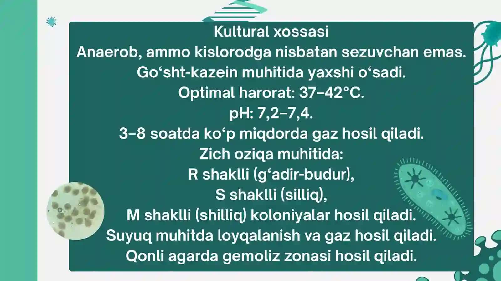 Gazli gangrena,qoqshol kasalliklari 3