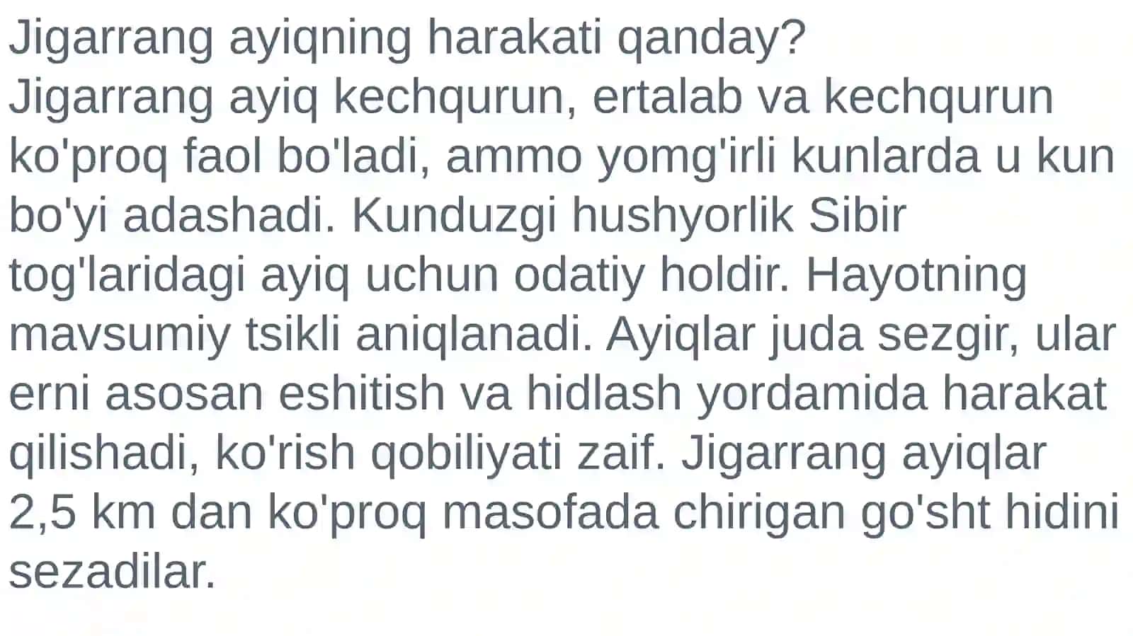 Jigarrang ayiq 3