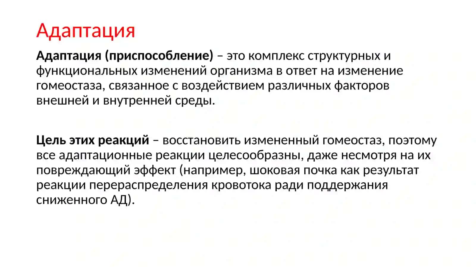 Адаптация 3