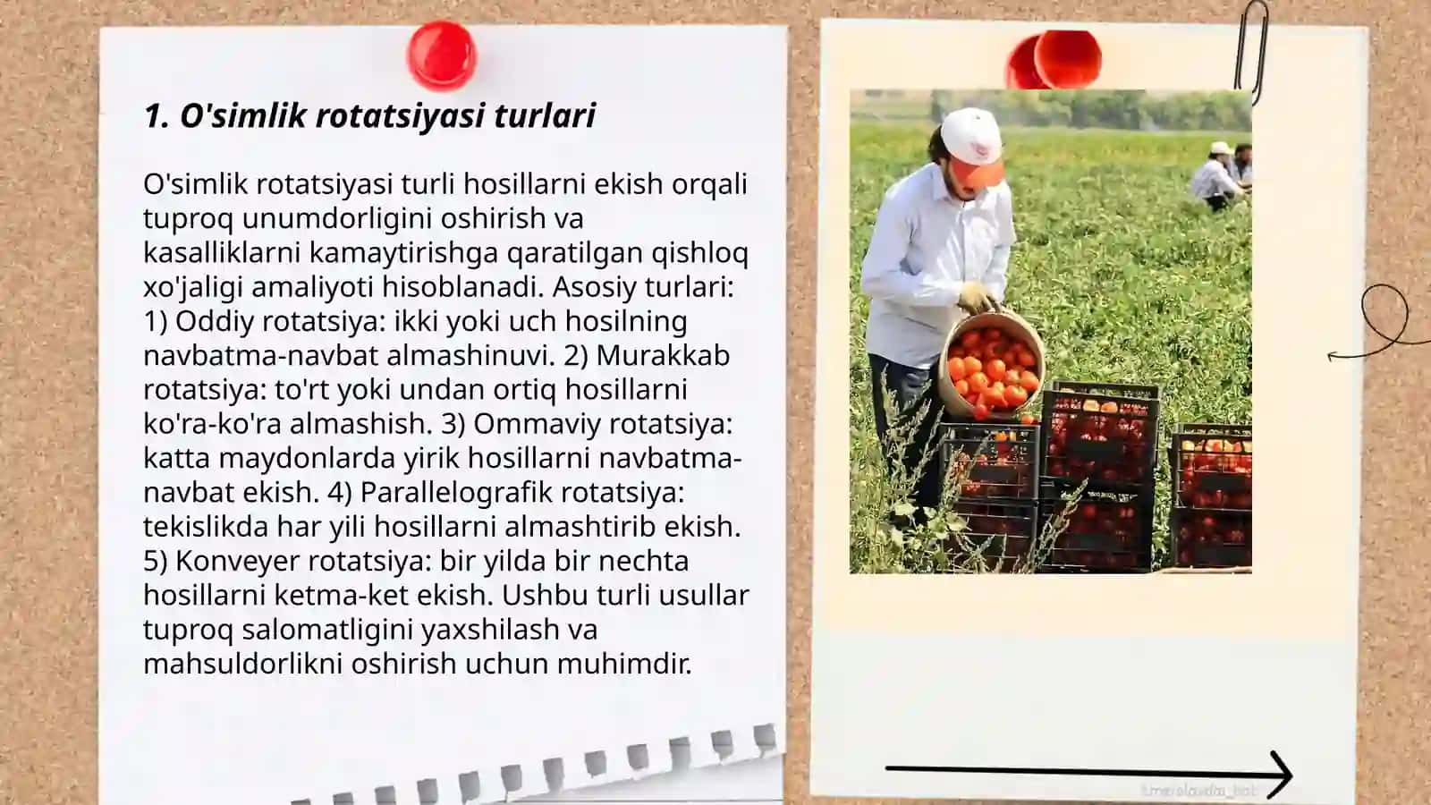 O'simlik rotatsiyasi turlari 3