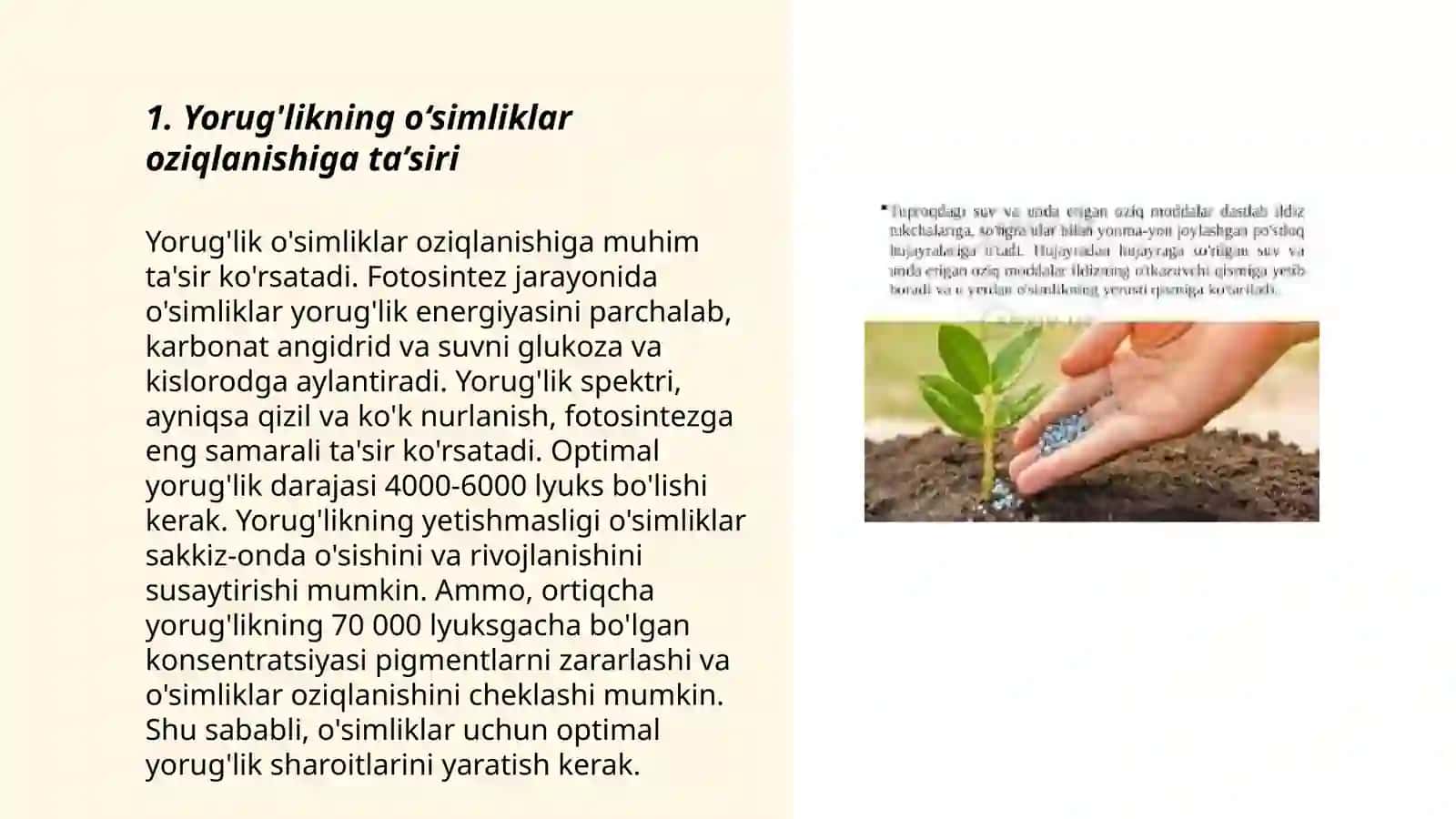 Yorug'likning o‘simliklar oziqlanishiga ta’siri 3