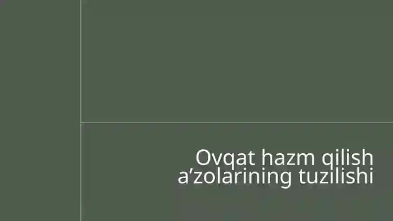 Ovqat hazm qilish tizimi 3