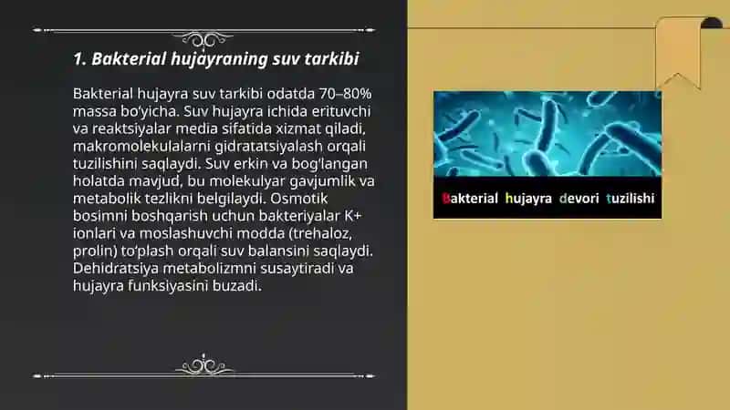Bakterial hujayranining kimyoviy tarkibi 3