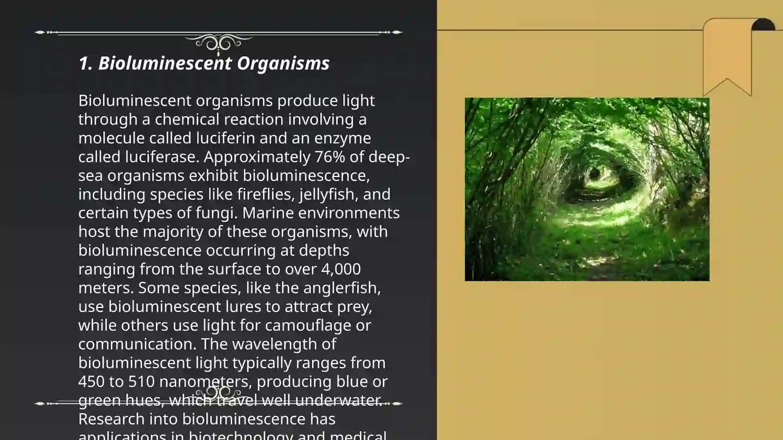 Mysteries in nature 3