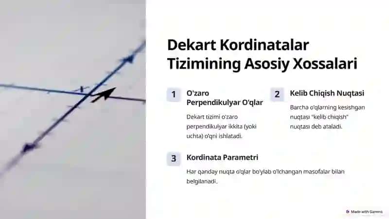 Dekart Kordinatalar Tizimi 3