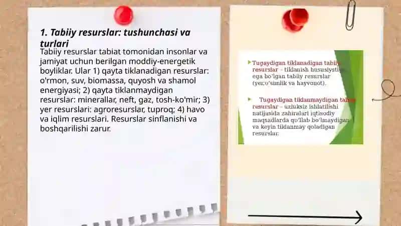 Tabiiy resurslar va ulardan oqilona foydalanish 3