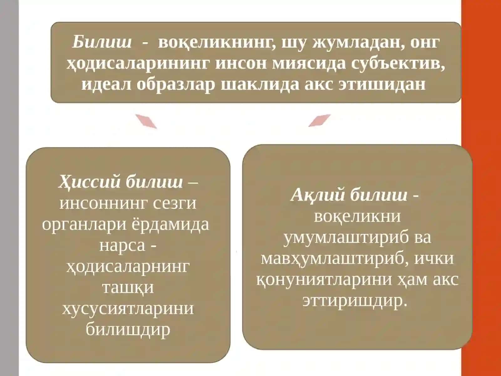 Тафаккурнинг шакл ва қонунлари 3
