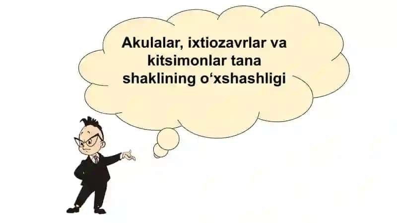 Organik olam evolutsiyasinig asosiy yo‘nalishlari 3